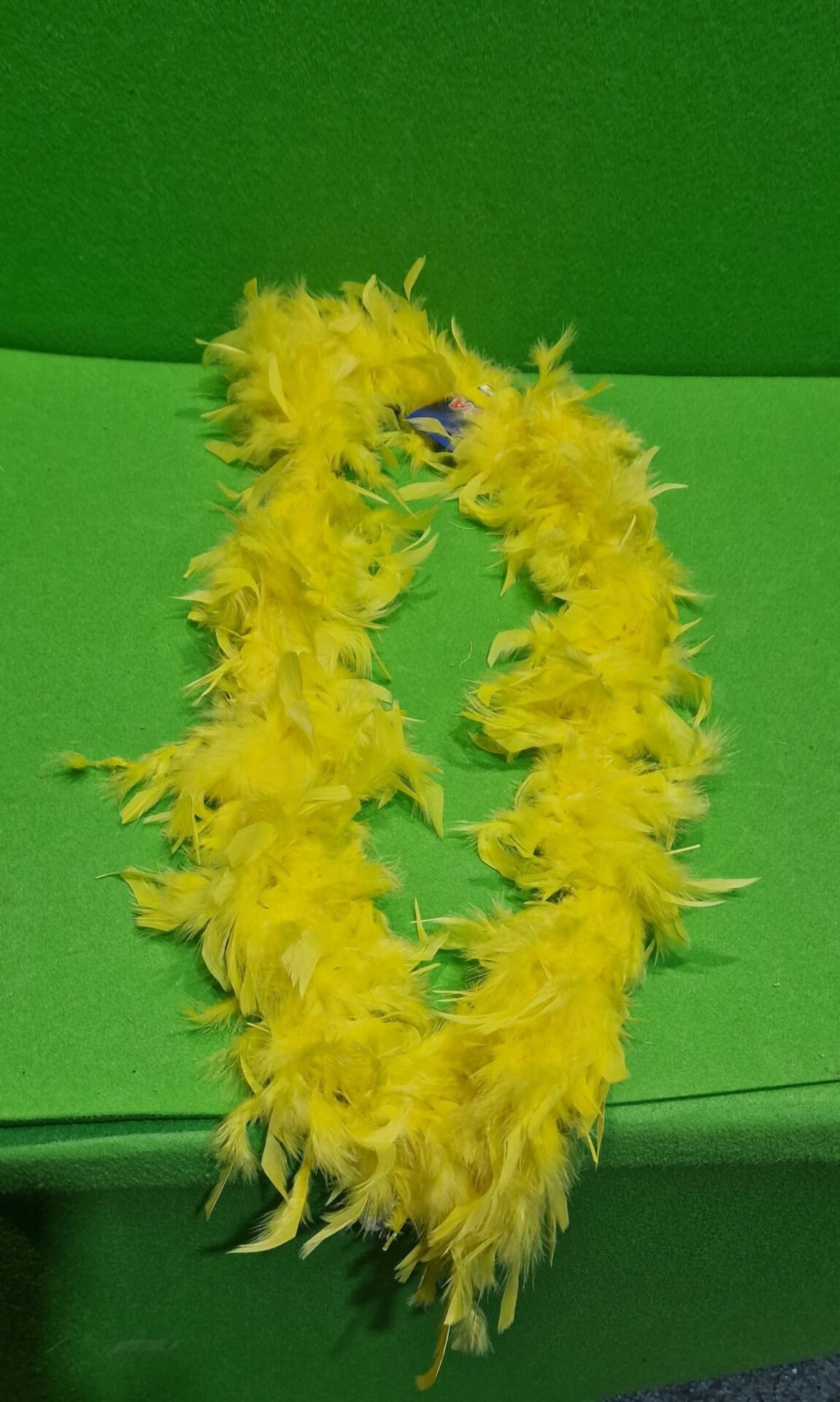 Boa amarillo disfraz en Lalín, Pontevedra