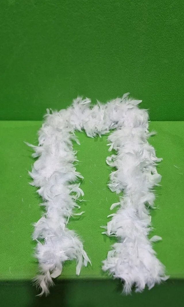 Foto 2 de Boa de plumas blancas