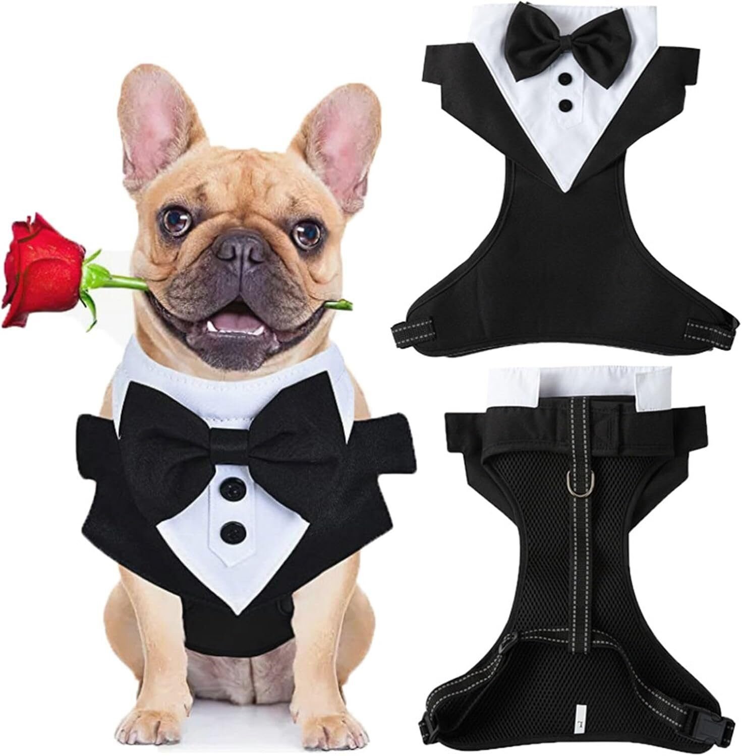 Disfraz para mascotas talla M en Lalín, Pontevedra
