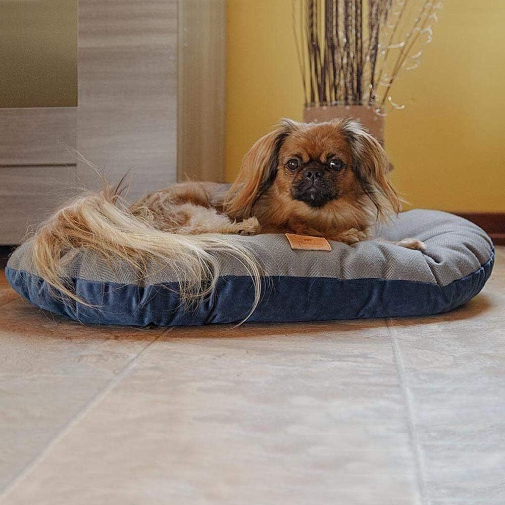 Ferplast Cojín Para Perros Y Gatos Stuart 55 x 36 cm en Lalín, Pontevedra
