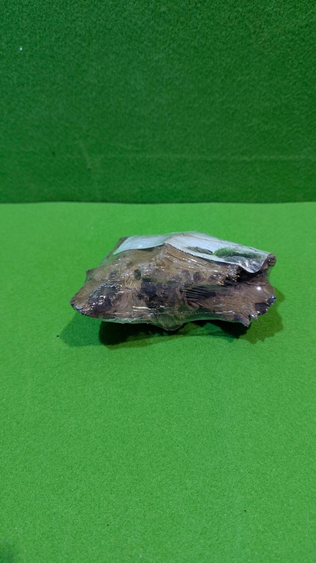Foto 4 de Marina Raíz de Madera de Mopani, Tronco Decorativo para aquário de la Marca