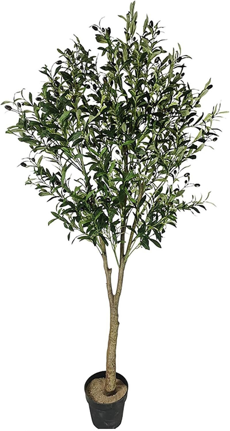 Olivo Falso en Maceta de 180 cm de Alto con Frutos de Aceitunas de plástico en Lalín, Pontevedra