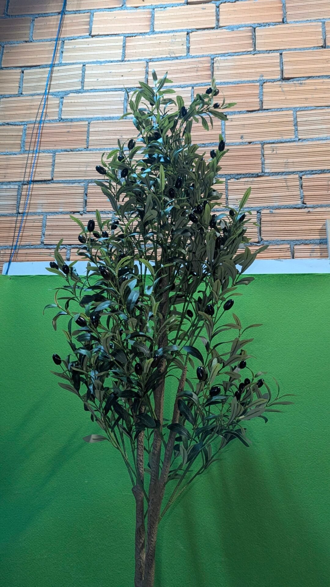 Foto 3 de Olivo Falso en Maceta de 180 cm de Alto con Frutos de Aceitunas de plástico