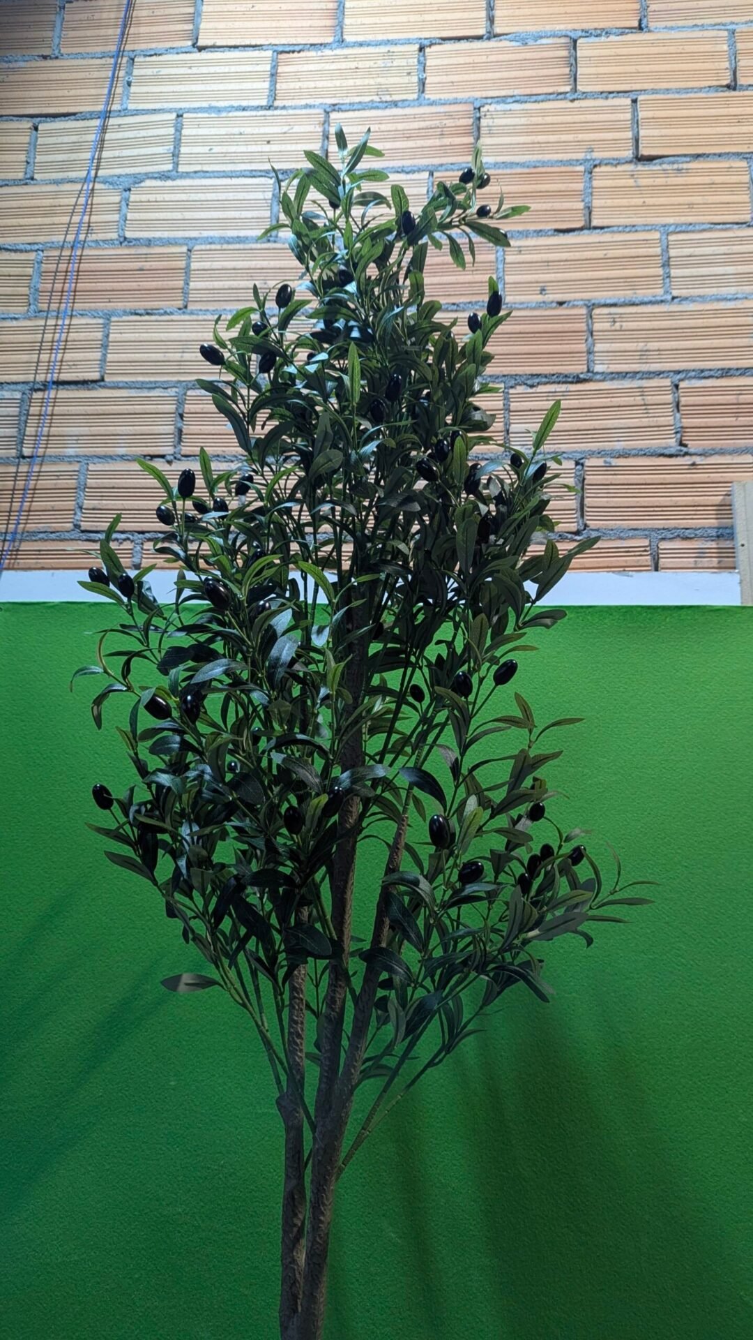 Foto 4 de Olivo Falso en Maceta de 180 cm de Alto con Frutos de Aceitunas de plástico