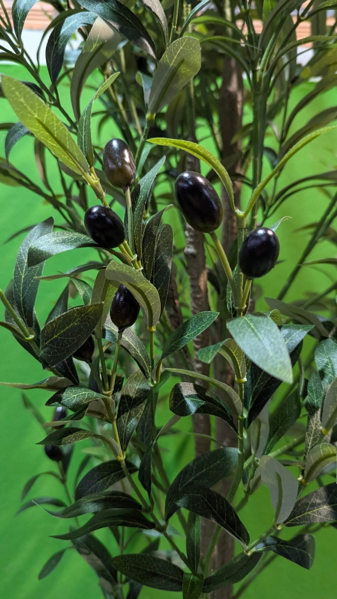 Foto 5 de Olivo Falso en Maceta de 180 cm de Alto con Frutos de Aceitunas de plástico