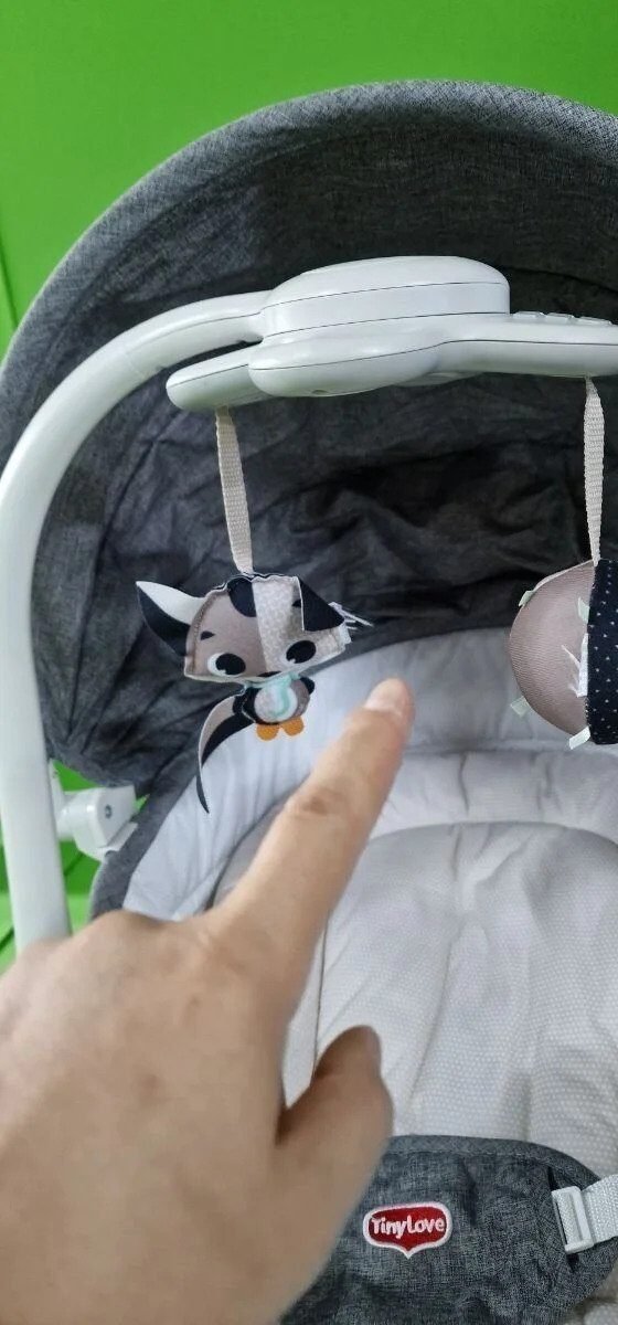 Foto 5 de Tiny Love Cozy Rocker Napper Cuna mecedora bebé